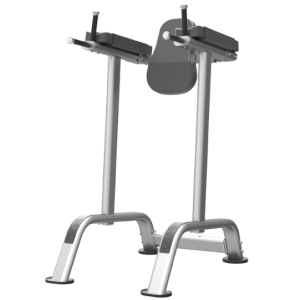 Vertical Knee Raise